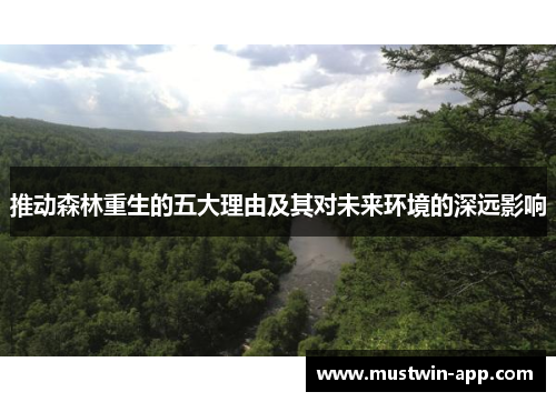 推动森林重生的五大理由及其对未来环境的深远影响